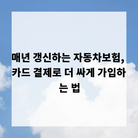 매년 갱신하는 자동차보험, 카드 결제로 더 싸게 가입하는 법