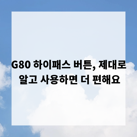 G80 하이패스 버튼, 제대로 알고 사용하면 더 편해요
