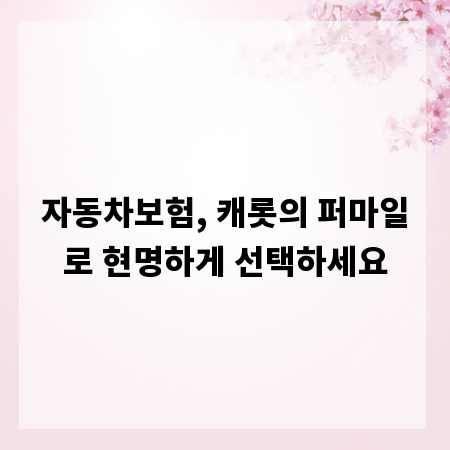 자동차보험, 캐롯의 퍼마일로 현명하게 선택하세요