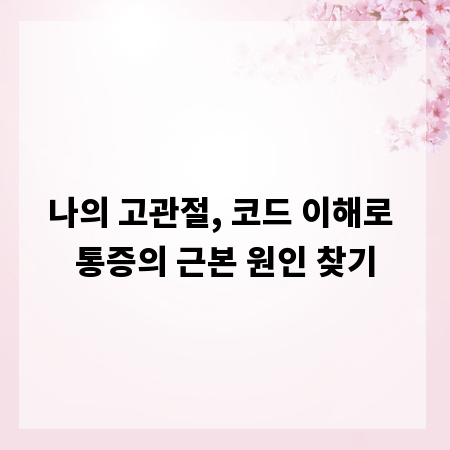 나의 고관절, 코드 이해로 통증의 근본 원인 찾기