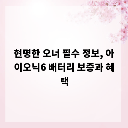 현명한 오너 필수 정보, 아이오닉6 배터리 보증과 혜택