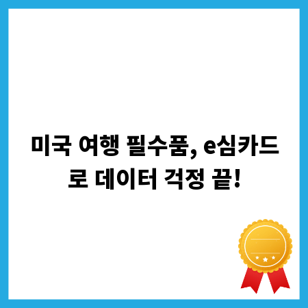미국 여행 필수품, e심카드로 데이터 걱정 끝!