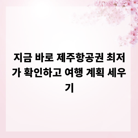 지금 바로 제주항공권 최저가 확인하고 여행 계획 세우기