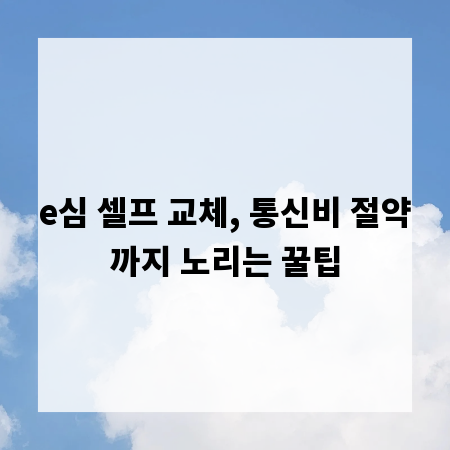 e심 셀프 교체, 통신비 절약까지 노리는 꿀팁
