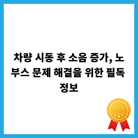 차량 시동 후 소음 증가, 노부스 문제 해결을 위한 필독 정보