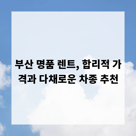부산 명품 렌트, 합리적 가격과 다채로운 차종 추천