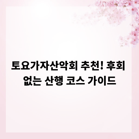 토요가자산악회 추천! 후회 없는 산행 코스 가이드