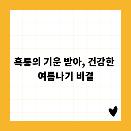 흑룡의 기운 받아, 건강한 여름나기 비결