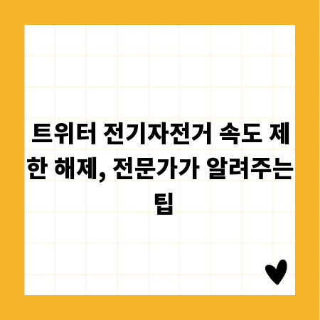 트위터 전기자전거 속도 제한 해제, 전문가가 알려주는 팁