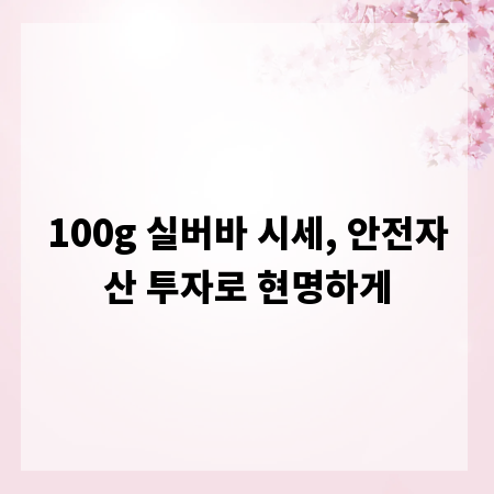 100g 실버바 시세, 안전자산 투자로 현명하게