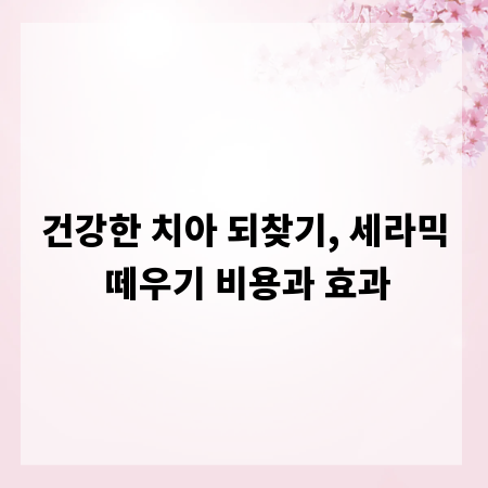 건강한 치아 되찾기, 세라믹 떼우기 비용과 효과