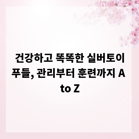건강하고 똑똑한 실버토이푸들, 관리부터 훈련까지 A to Z