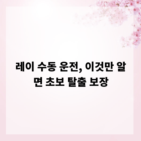 레이 수동 운전, 이것만 알면 초보 탈출 보장