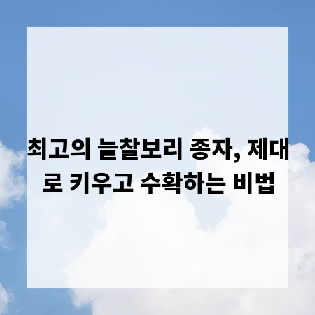 최고의 늘찰보리 종자, 제대로 키우고 수확하는 비법