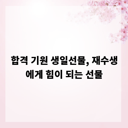 합격 기원 생일선물, 재수생에게 힘이 되는 선물