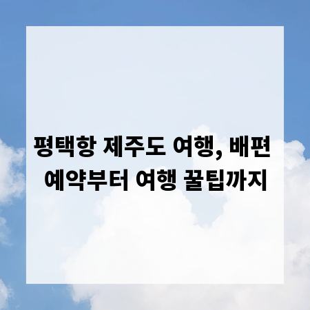 평택항 제주도 여행, 배편 예약부터 여행 꿀팁까지