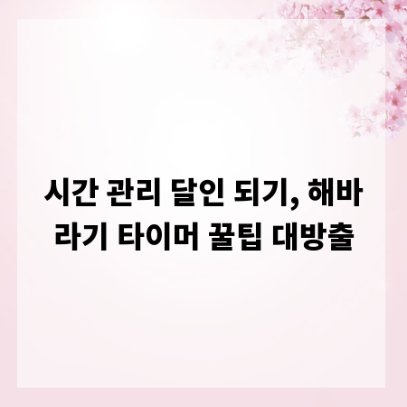 시간 관리 달인 되기, 해바라기 타이머 꿀팁 대방출