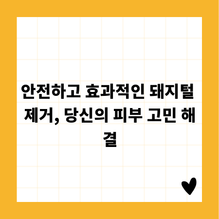 안전하고 효과적인 돼지털 제거, 당신의 피부 고민 해결