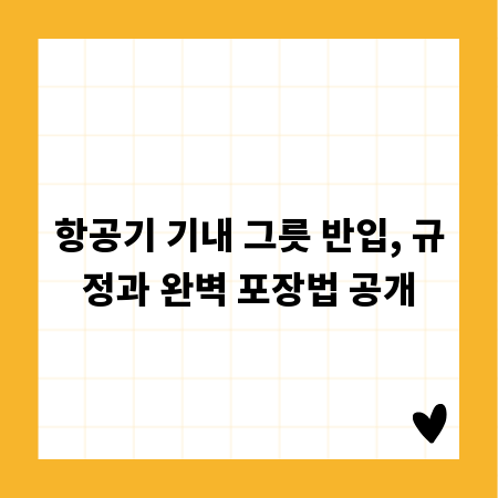 항공기 기내 그릇 반입, 규정과 완벽 포장법 공개