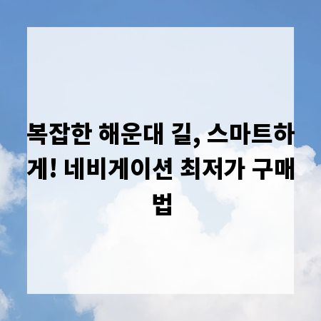 복잡한 해운대 길, 스마트하게! 네비게이션 최저가 구매법