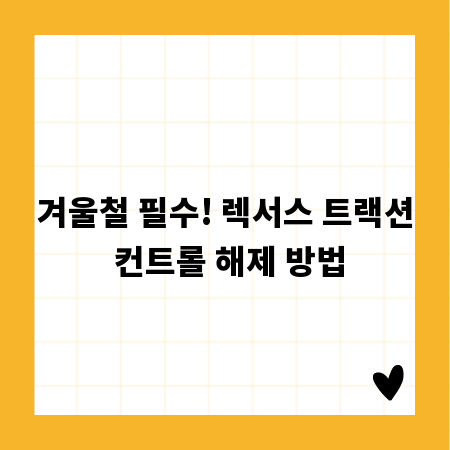 겨울철 필수! 렉서스 트랙션 컨트롤 해제 방법