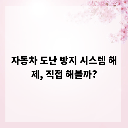자동차 도난 방지 시스템 해제, 직접 해볼까?