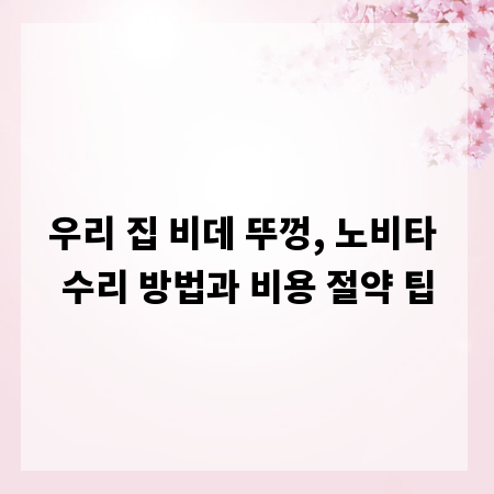 우리 집 비데 뚜껑, 노비타 수리 방법과 비용 절약 팁