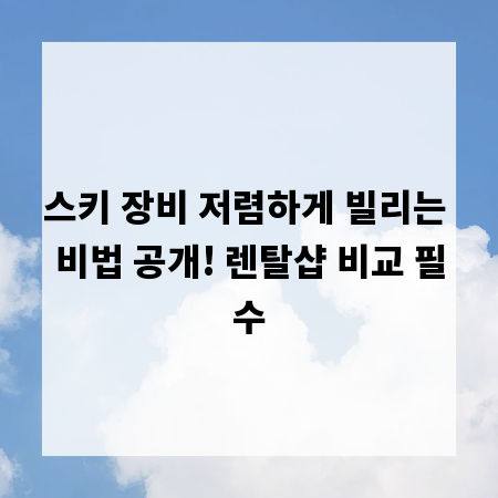 스키 장비 저렴하게 빌리는 비법 공개! 렌탈샵 비교 필수