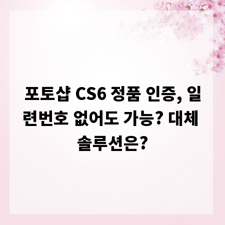 포토샵 CS6 정품 인증, 일련번호 없어도 가능? 대체 솔루션은?