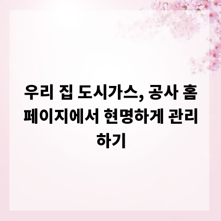 우리 집 도시가스, 공사 홈페이지에서 현명하게 관리하기
