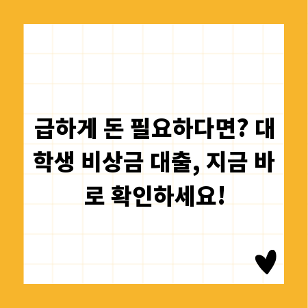 급하게 돈 필요하다면? 대학생 비상금 대출, 지금 바로 확인하세요!