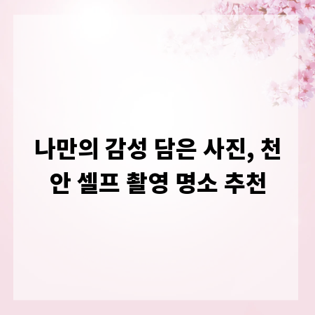 나만의 감성 담은 사진, 천안 셀프 촬영 명소 추천