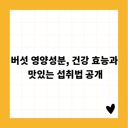 버섯 영양성분, 건강 효능과 맛있는 섭취법 공개