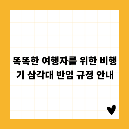 똑똑한 여행자를 위한 비행기 삼각대 반입 규정 안내