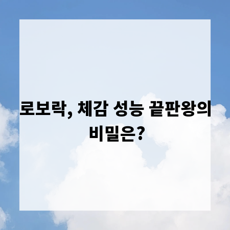 로보락, 체감 성능 끝판왕의 비밀은?