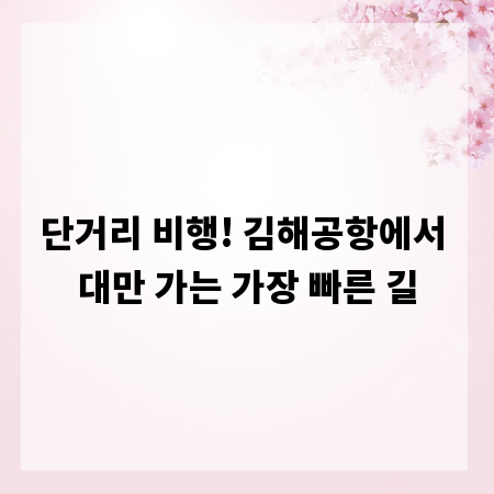 단거리 비행! 김해공항에서 대만 가는 가장 빠른 길
