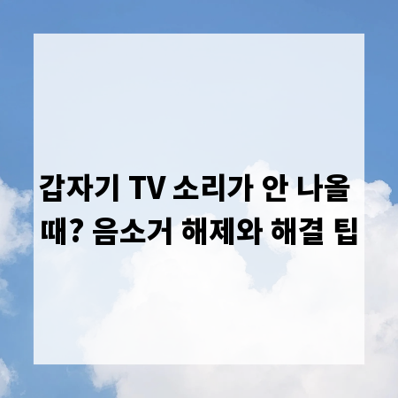 갑자기 TV 소리가 안 나올 때? 음소거 해제와 해결 팁