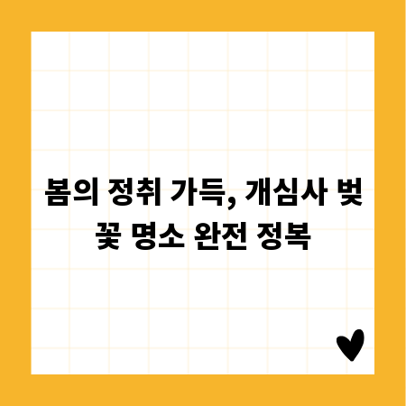 봄의 정취 가득, 개심사 벚꽃 명소 완전 정복