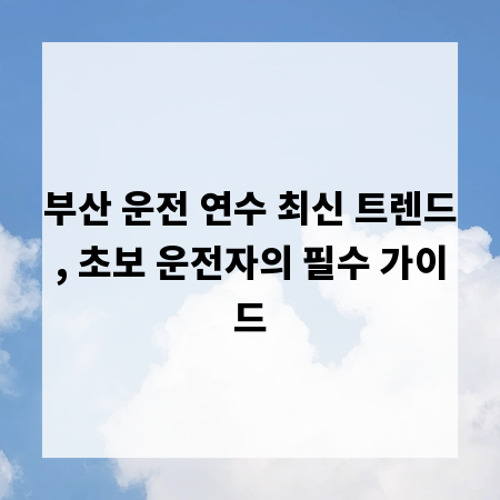 부산 운전 연수 최신 트렌드, 초보 운전자의 필수 가이드