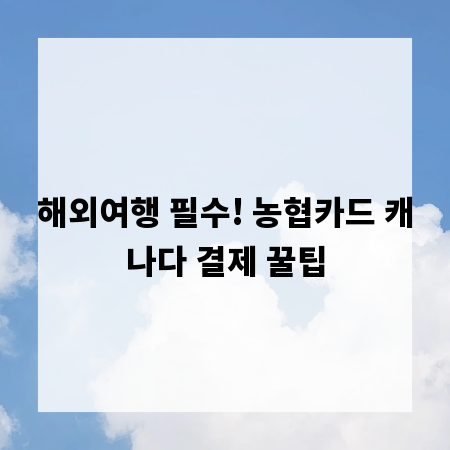 해외여행 필수! 농협카드 캐나다 결제 꿀팁