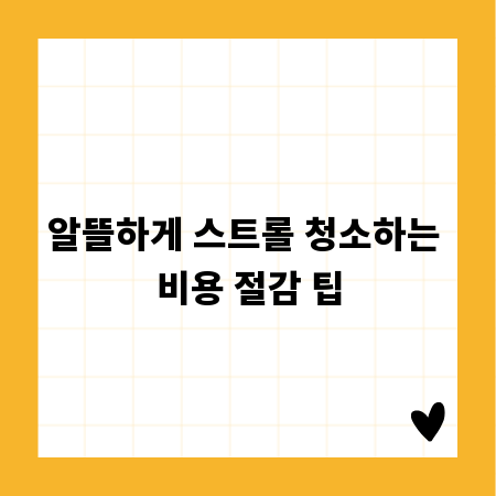 알뜰하게 스트롤 청소하는 비용 절감 팁