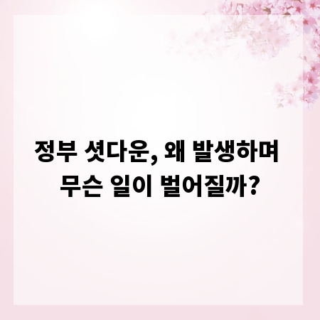 정부 셧다운, 왜 발생하며 무슨 일이 벌어질까?