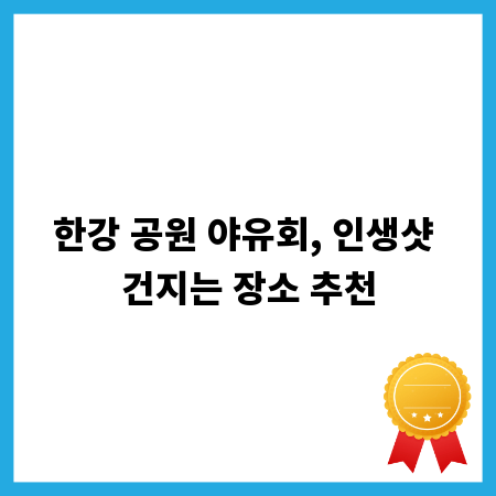 한강 공원 야유회, 인생샷 건지는 장소 추천