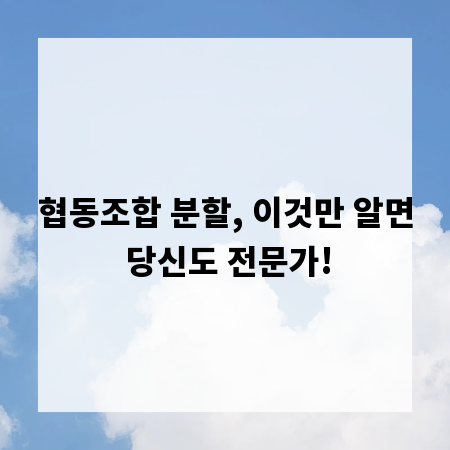 협동조합 분할, 이것만 알면 당신도 전문가!
