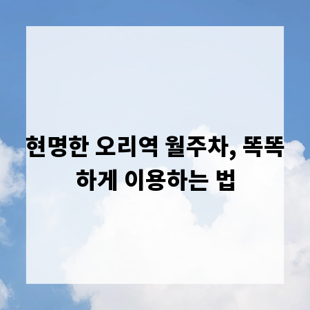 현명한 오리역 월주차, 똑똑하게 이용하는 법