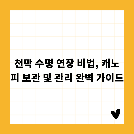 구미 제일모직 직매장: 놓치면 후회할 최신 상품과 할인 정보