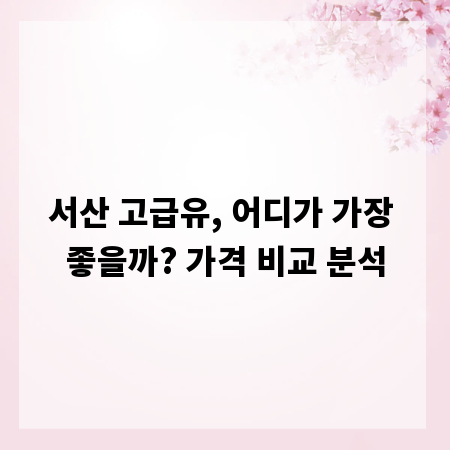 서산 고급유, 어디가 가장 좋을까? 가격 비교 분석