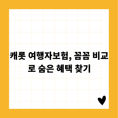 캐롯 여행자보험, 꼼꼼 비교로 숨은 혜택 찾기