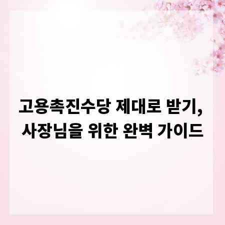 고용촉진수당 제대로 받기, 사장님을 위한 완벽 가이드