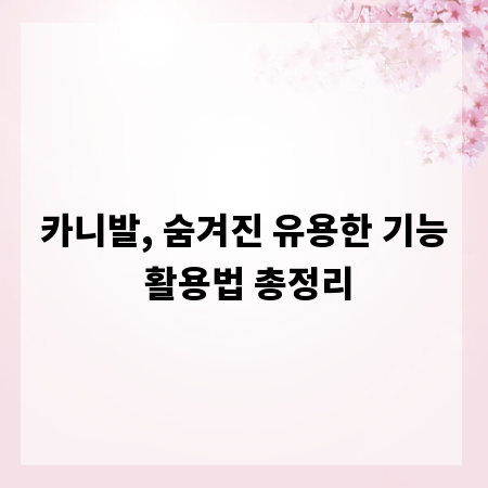 카니발, 숨겨진 유용한 기능 활용법 총정리